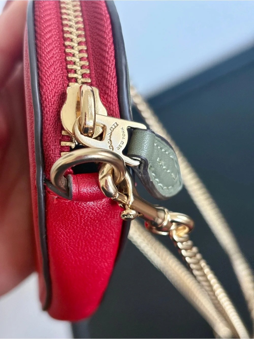 Coach nwot strawberry